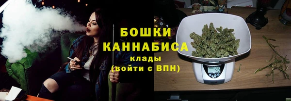 соль ск Горнозаводск