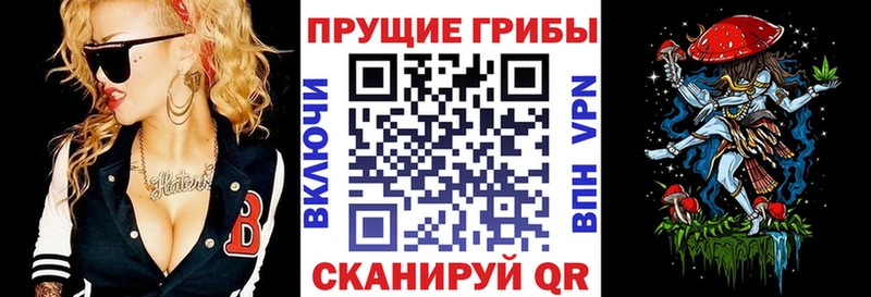 Псилоцибиновые грибы Psilocybe  Серпухов 